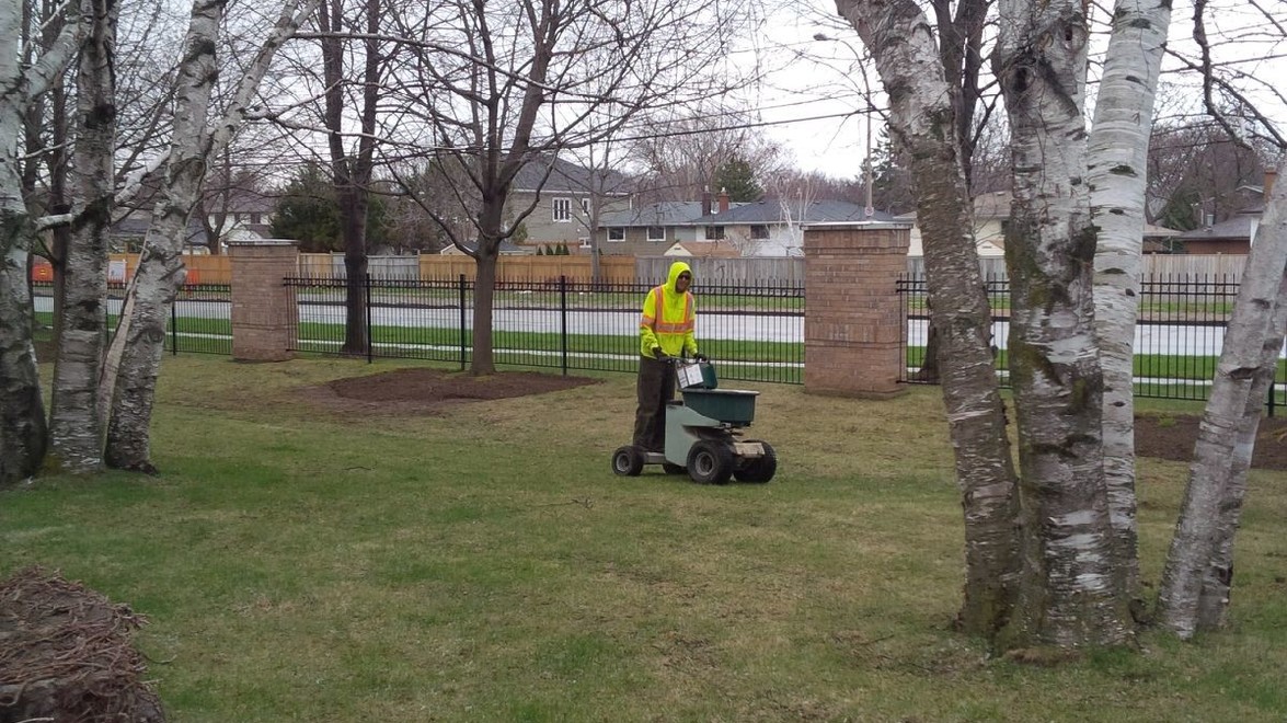 Maximizing Plant Health: Fertilizing