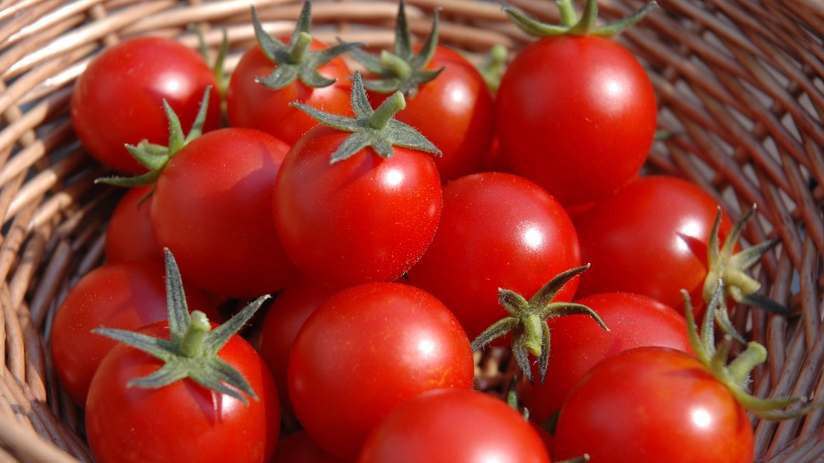 Use Your Produce: Tomato Frittata