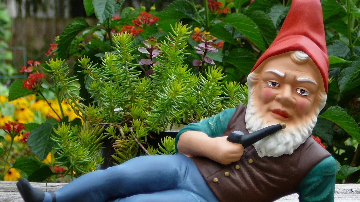 Latest garden trends include pollinators to gnomes