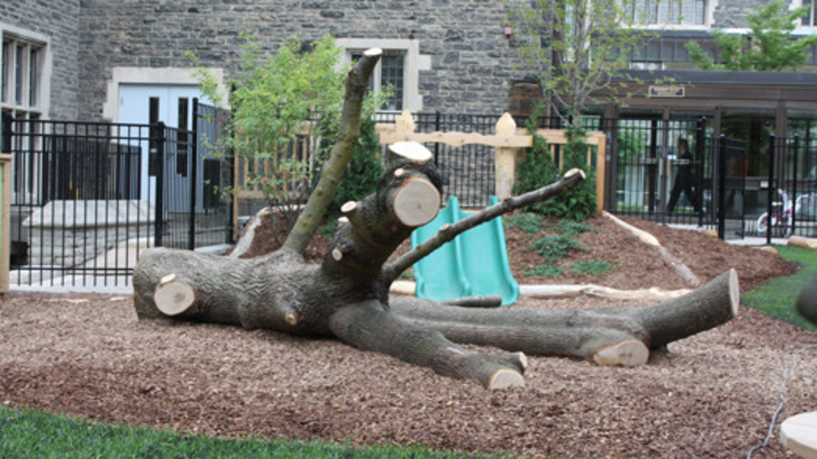BACK TO OUR ROOTS: NATURAL PLAYGROUNDS