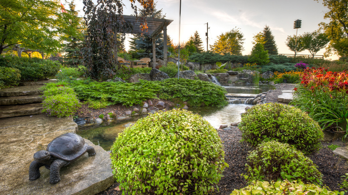 Water gardens will add so much to your backyard
