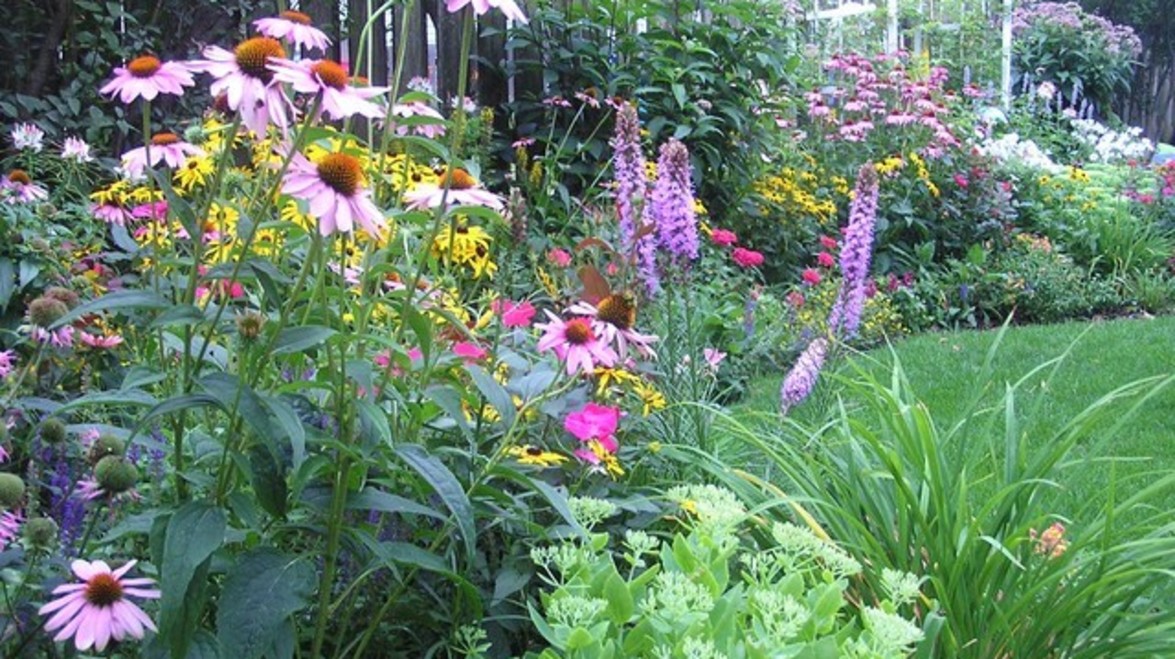 Perennials are a must for your garden