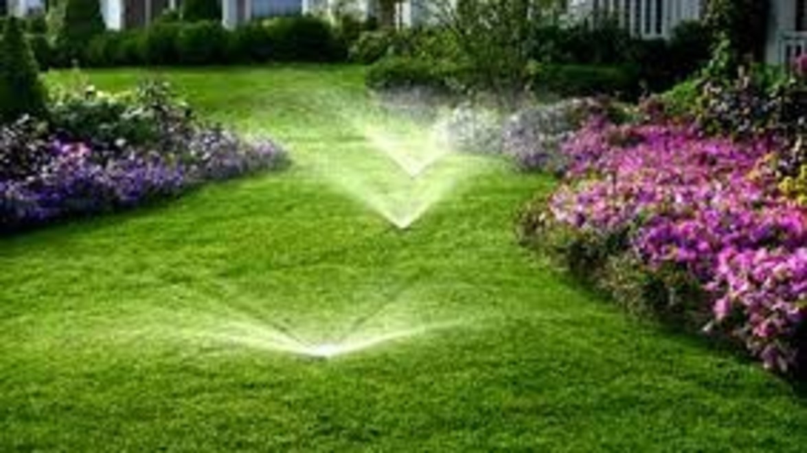 Water Smart Irrigation Professional program could save you money