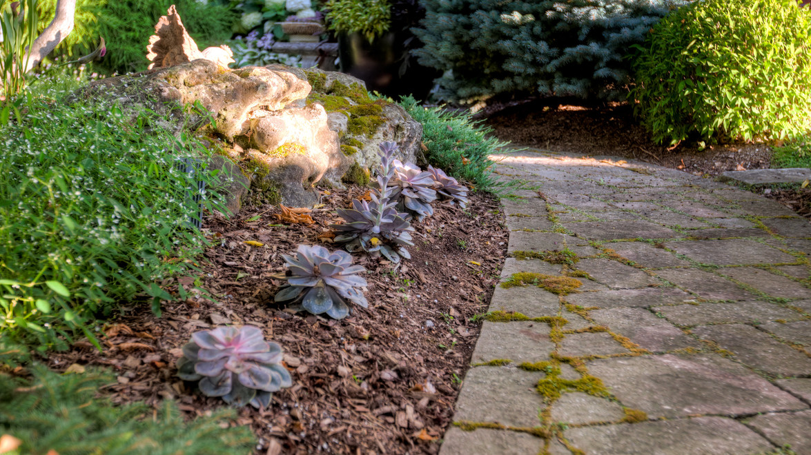 All About Mulch: What You Need to Know About Mulching Your Garden