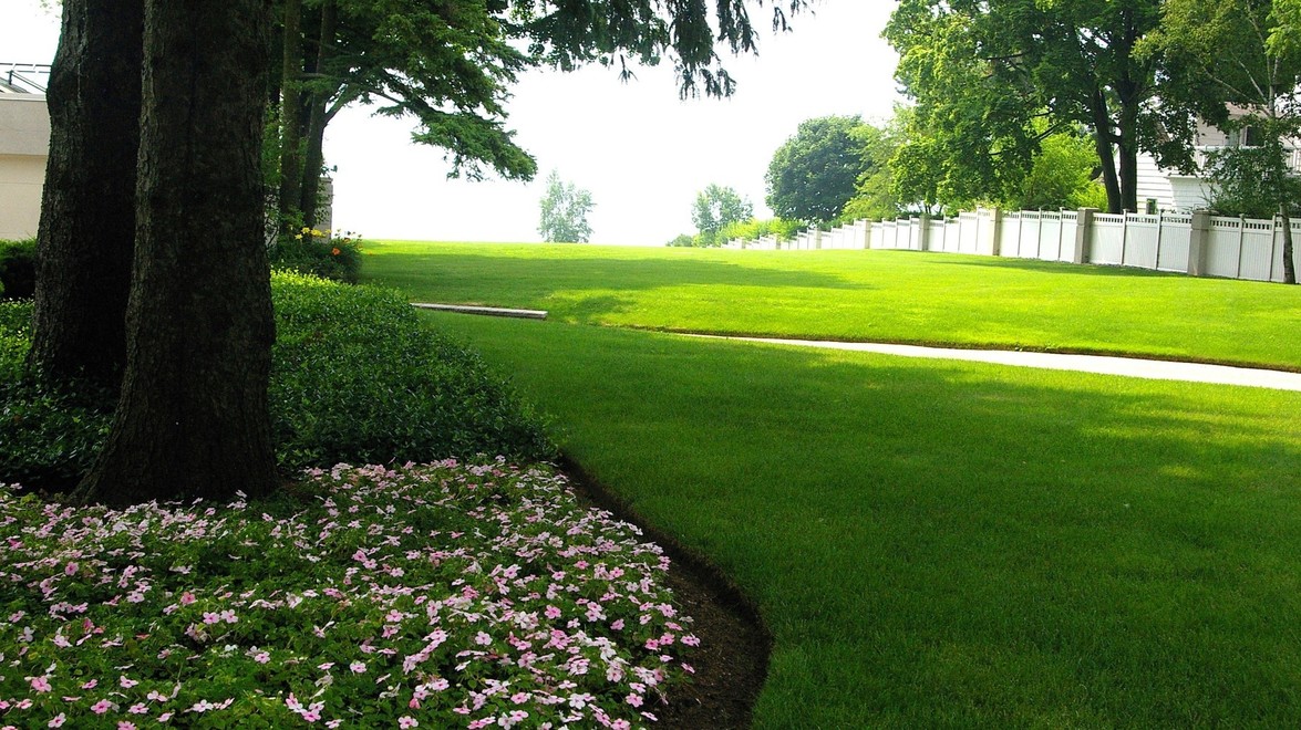 Preparing Lawn for Winter Will Help it Next Summer