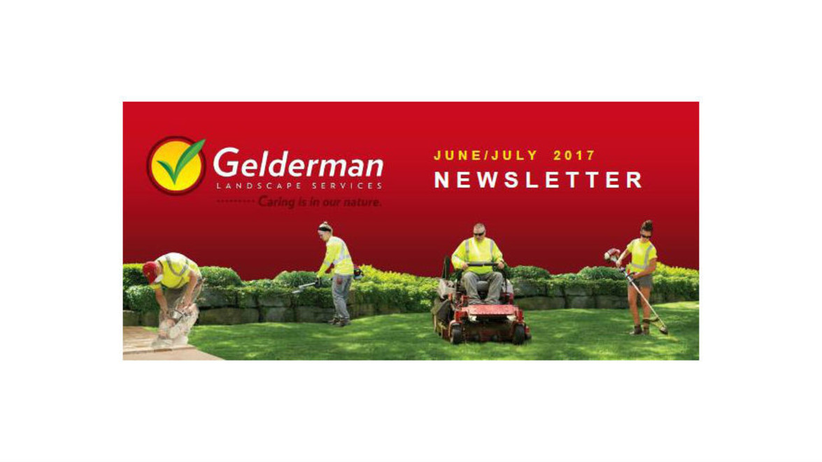 June-July 2017 Gelderman Newsletter