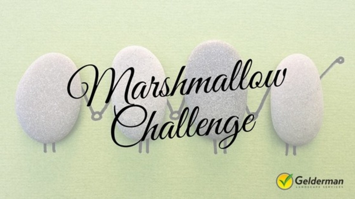 Spring Manager Kickoff – The Marshmallow Challenge