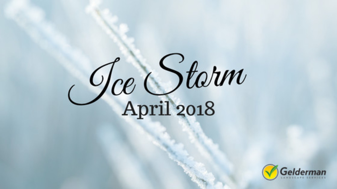 Ice Storm – April 2018