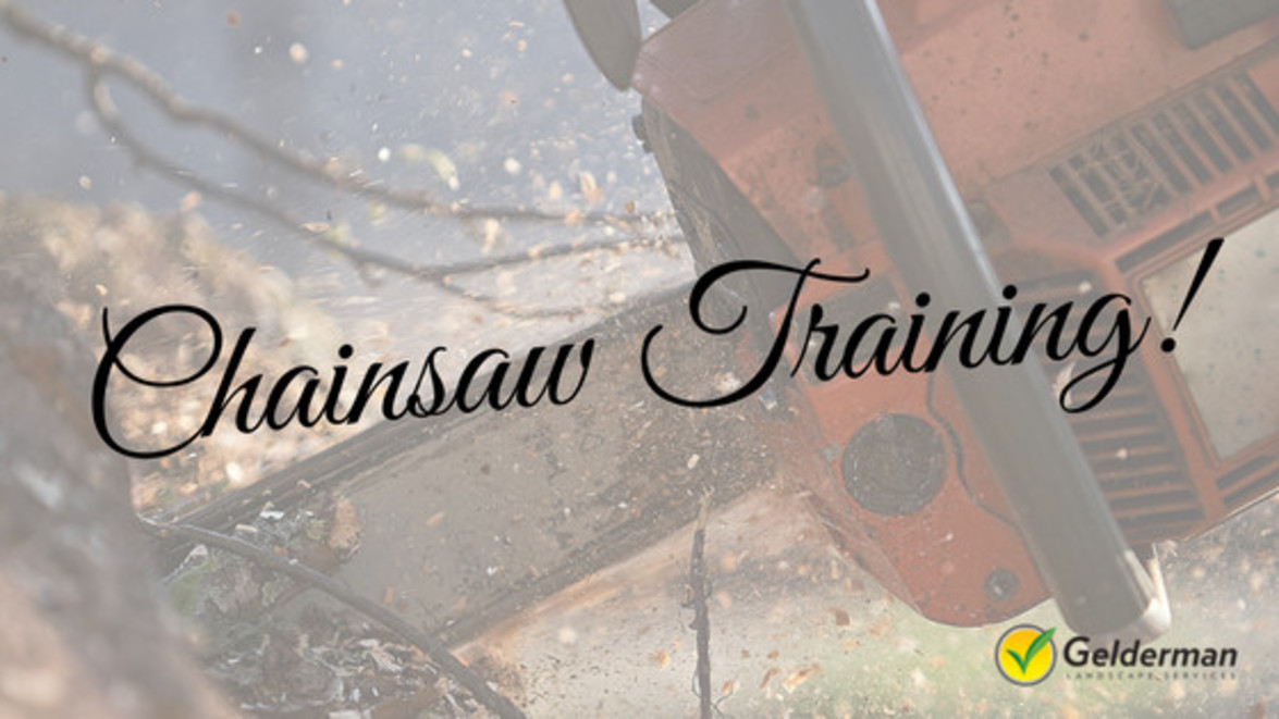 Chainsaw Training!