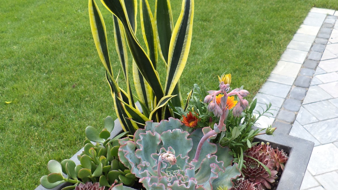 Creating Unique Planters for Your Garden