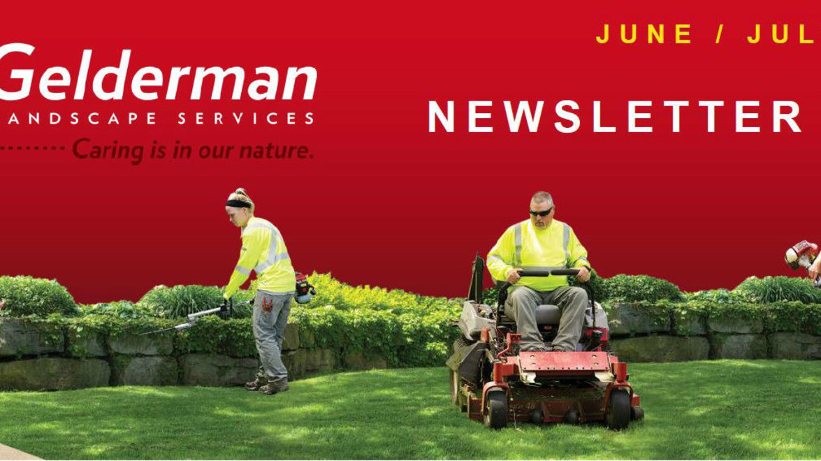 The June – July Newsletter is Out!