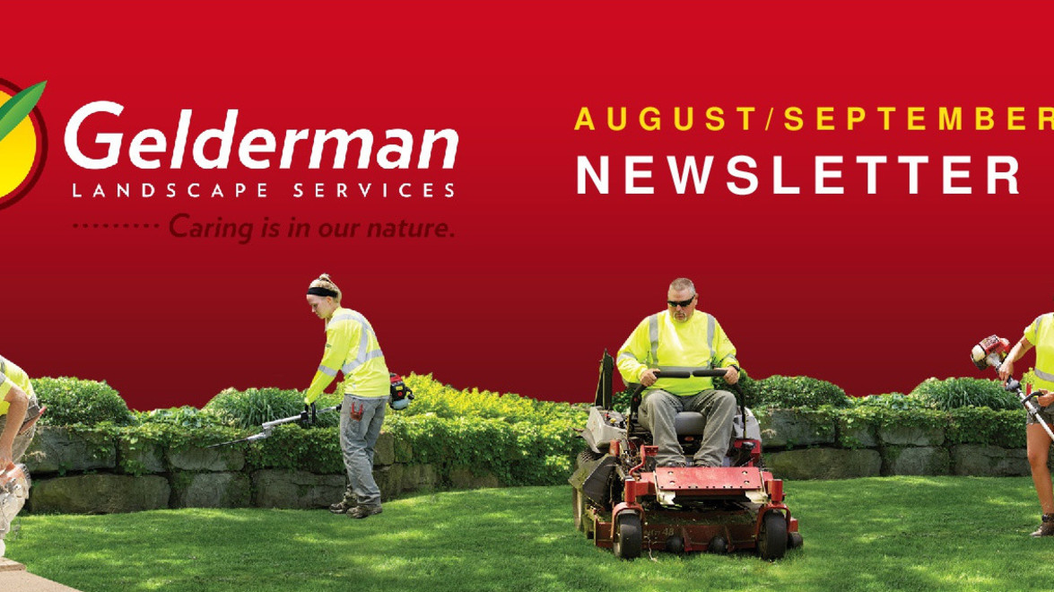 August – September Newsletter is out!