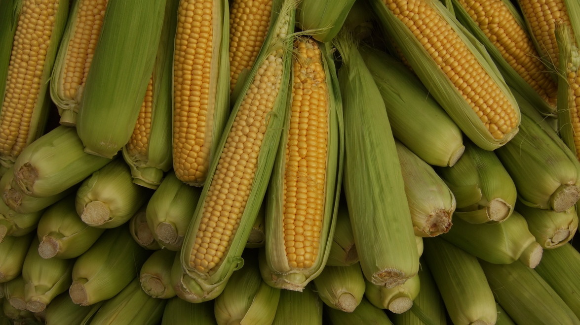 Corn on the Cob: Four International Twists