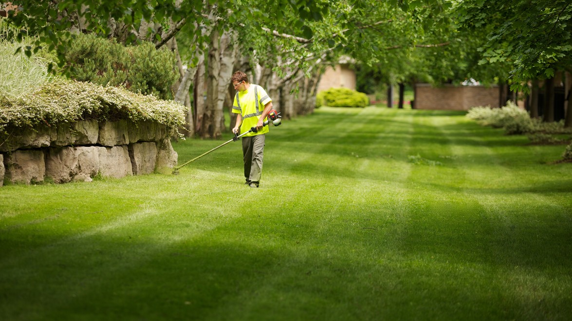 5 Lawn Tips to Make Others Green with Envy!