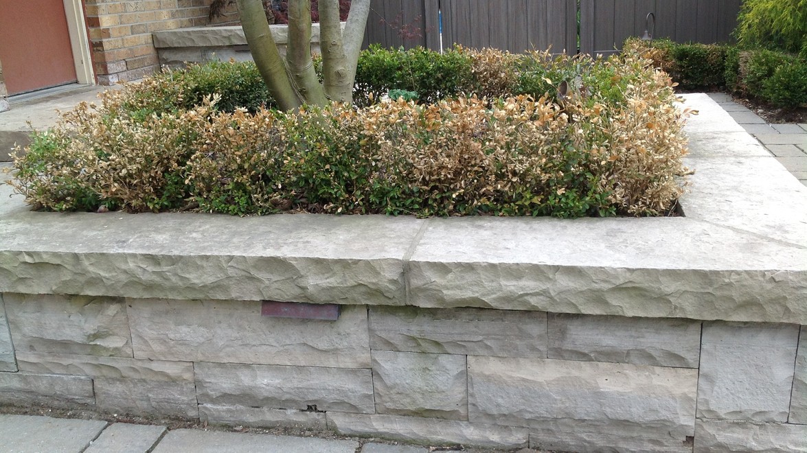 Did your Landscape Experience Winter Damage?