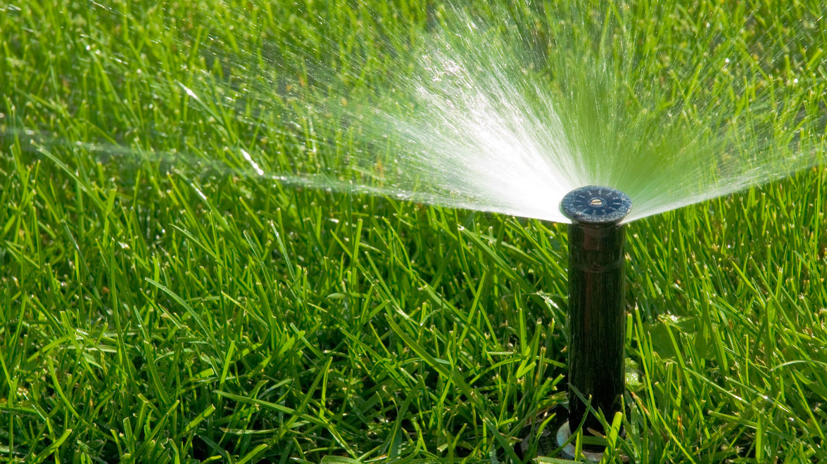 July is Smart Irrigation Month!