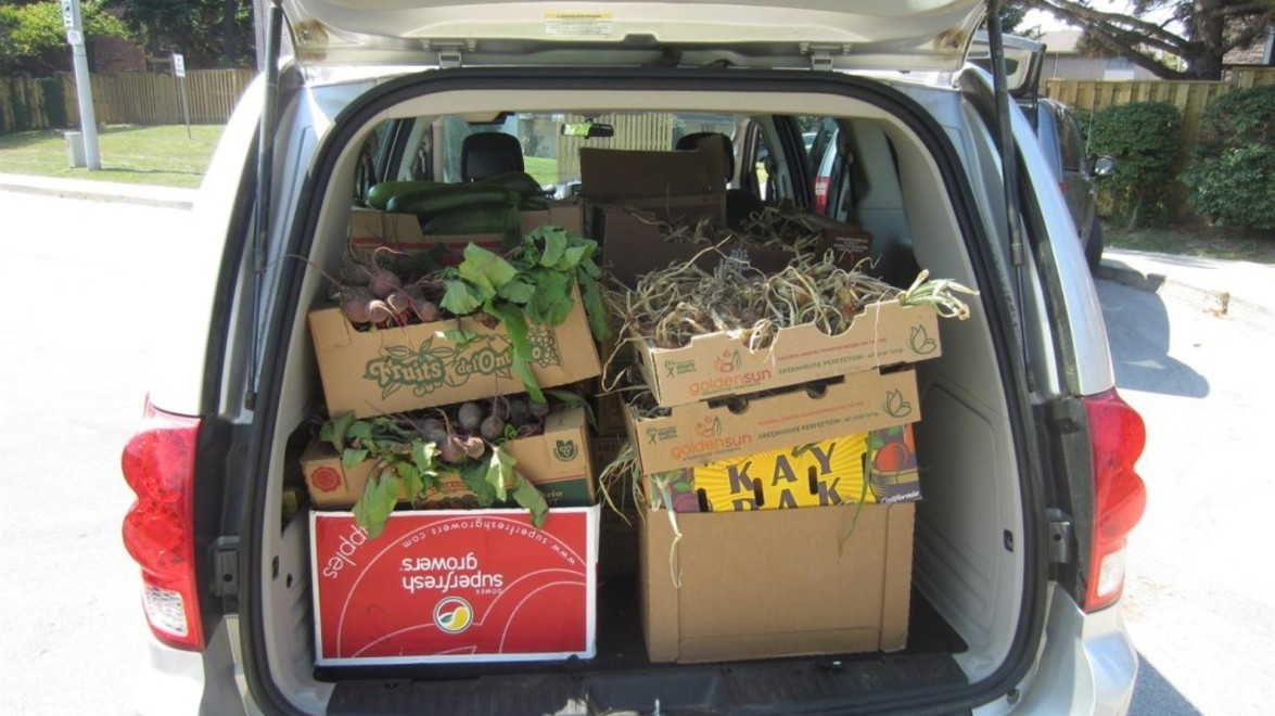 New Beds & Irrigation at Hamilton Victory Garden’s Newest Hamilton Location