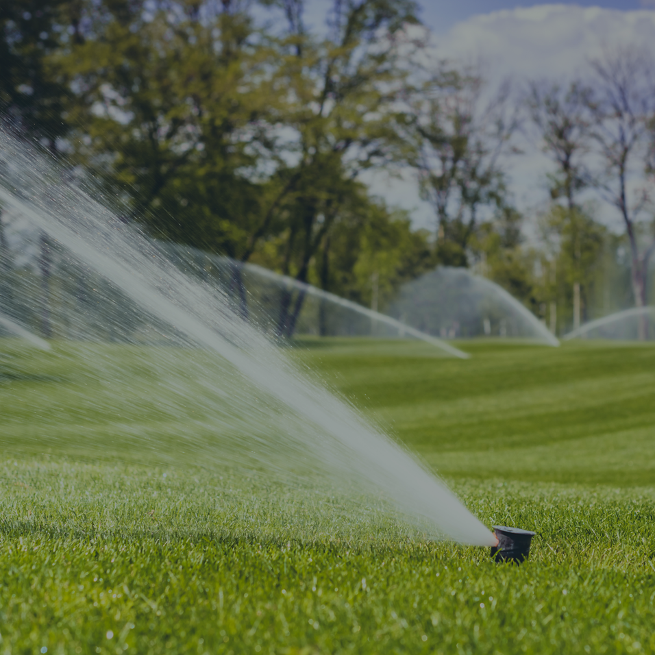 Large section of grass being watered by inground sprinkler systems.