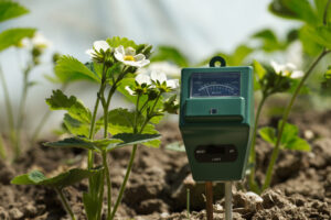 A soil moisture meter is placed in a garden bed with blooming strawberry plants, indicating moisture and light levels.